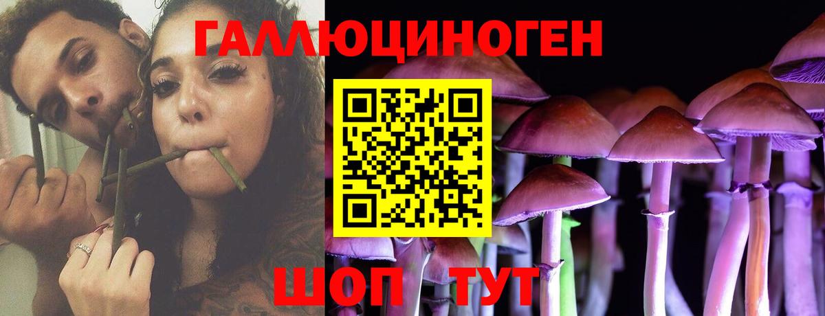 Галлюциногенные грибы мухоморы  Псилоцибиновые грибы мицелий  Таганрог  Вход с VPN 